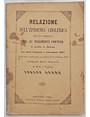 Relazione sullepidemia cholerica che ha dominato sul 10 Reggimento Fanteria di presidio in Messina nei mesi dagosto e settembre 1867.