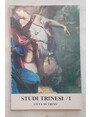 Studi trinesi/1.