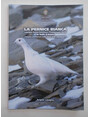 La pernice bianca in Valle dAosta. Indagine preliminare sullo status delle popolazioni.