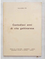 Centodieci anni di vita gattinarese. (I censimenti di Gattinara dal 1861 al 1971).