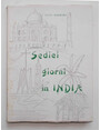 Sedici giorni in India.