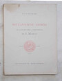 Settantadue giorni ai lavori del Campanile di S.Marco. Marzo-Giugno 1903.