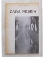 Cara nebbia.