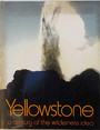 Yellowstone a century of the wilderness area.