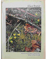 Appalachian Wilderness. The Great Smoky Mountains.