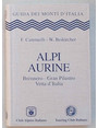 Alpi Aurine. Brènnero - Gran Pilastro - Vetta d’Italia.