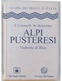 Alpi Pusteresi. Vedrette di Ries