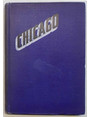 Chicago. The great industrial and commercial center of the Mississipy Valley.