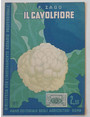 Il cavolfiore.