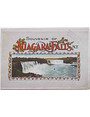 Souvenir of Niagara Falls, N.Y.
