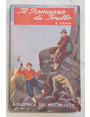 Il romanzo di Frullo.