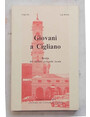 Giovani a Cigliano. Realt del mondo giovanile locale. Indagine sociologica promossa dal Comune di Cigliano.