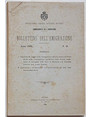 Bollettino dellEmigrazione. Anno 1906 N. 16.