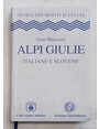 Alpi Giulie italiane e slovene.