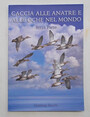 Caccia alle anatre e alle oche nel mondo. Terza parte.