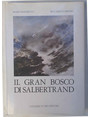 Il gran bosco di Salbertrand.