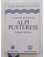 Alpi Pusteresi. Vedrette di Res.