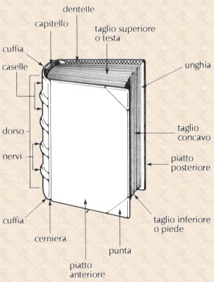 Nomenclatura del libro