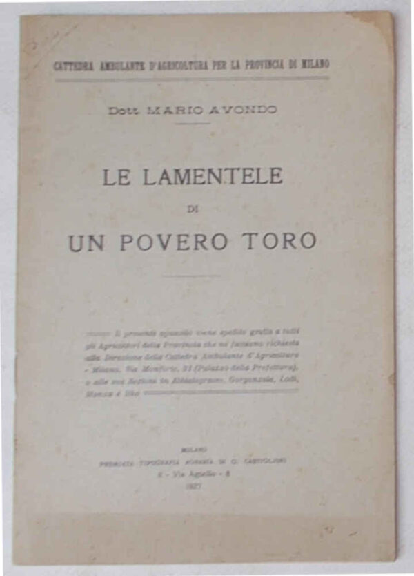 78-0598 Le lamentele di un povero toro.