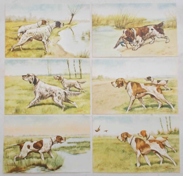 C0-0298 Serie di 6 cartoline originali di Caccia e Cani da Caccia di Mario Norfini.