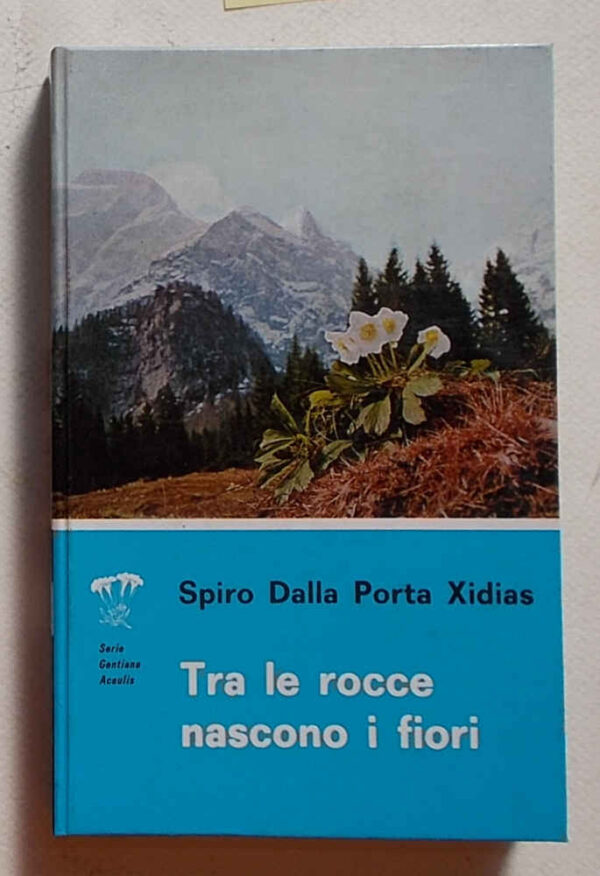 M5-0610 Tra le rocce nascono i fiori.